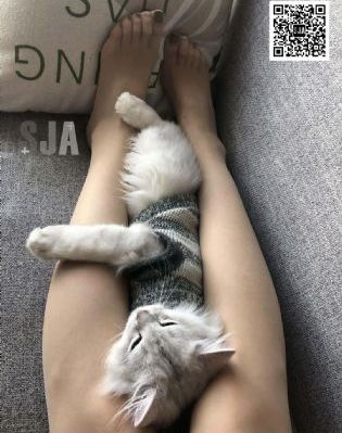 免费电视剧在线观看_蓝光免费全集观看